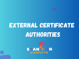 The Importance of External Certificate Authorities