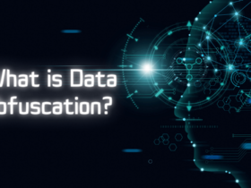 What is Data Obfuscation