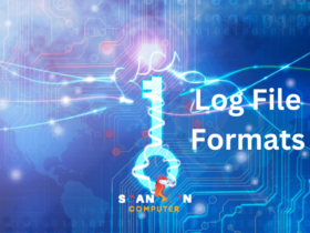 What is a Log File Format