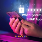 What Systems Require SNAP Approval