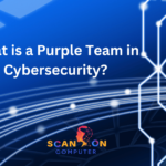 What is a Purple Team in Cybersecurity